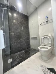 St. Regis Residences (D10), Apartment #510498021